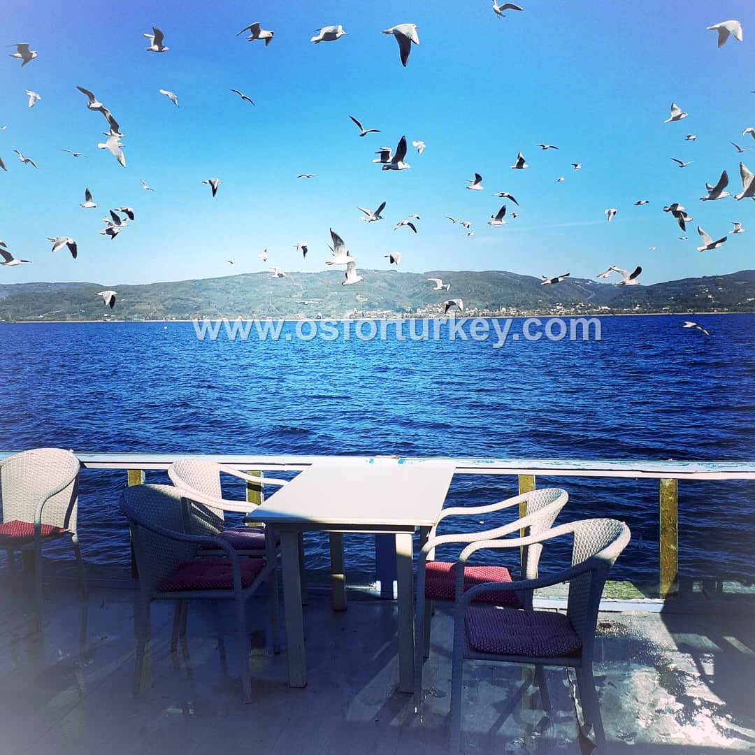 طريقة الذهاب في رحلة سبانجا بحيرة وشلالات معشوقية التركية من اسطنبول 100 ليرة